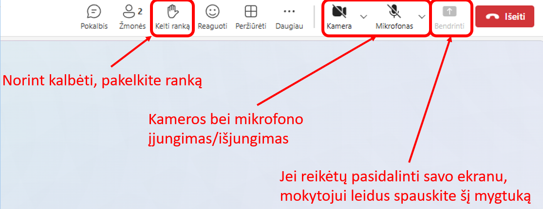 teams susitikimas
